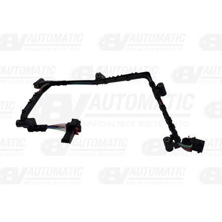 Faisceau De Câblage Interne Boite automatique 0B5