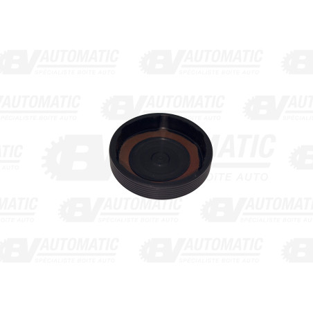 bouchon pour satellite de différentiel, bouchon, bouchon 0BH, bouchon DQ500