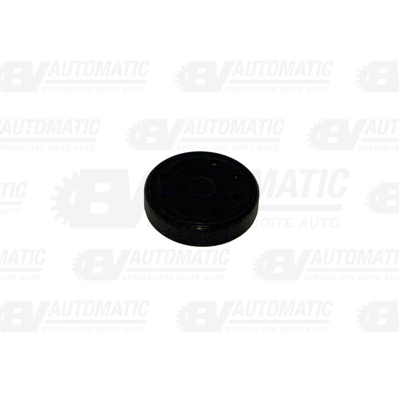 Bouchon Double Embrayage - boîte automatique 7DCT300 – BMW / Mini / Renault / Nissan / Mercedes