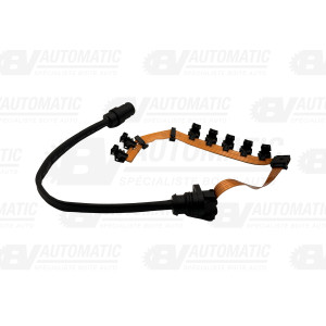 Faisceau de câblage interne 01M