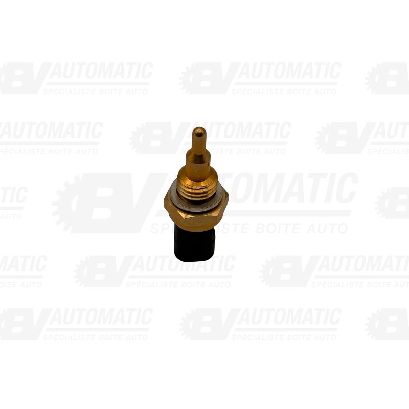 Capteur de température d’huile – boîte automatique 7DCT300 – BMW / Mini / Renault – SP03311