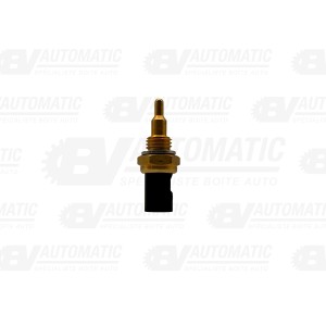 Capteur de température d’huile – boîte automatique 7DCT300 – BMW / Mini / Renault – SP03311