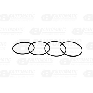 Segment double embrayage DL501 / 0B5