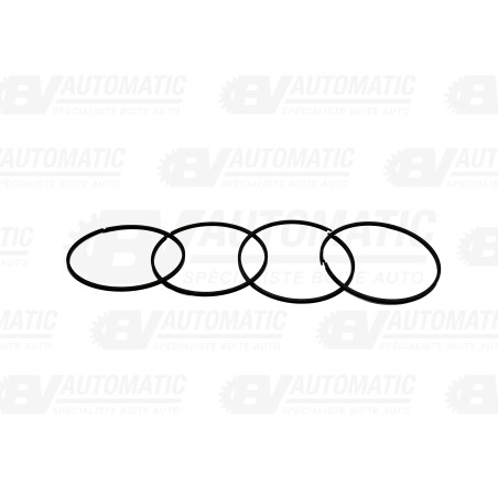 Segment double embrayage DL501 / 0B5