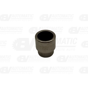 Roulement pilote Embrayage - DSG7-DSG6 - VAG