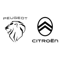 Pièces boîte automatique Peugeot Citroën | BV Automatic